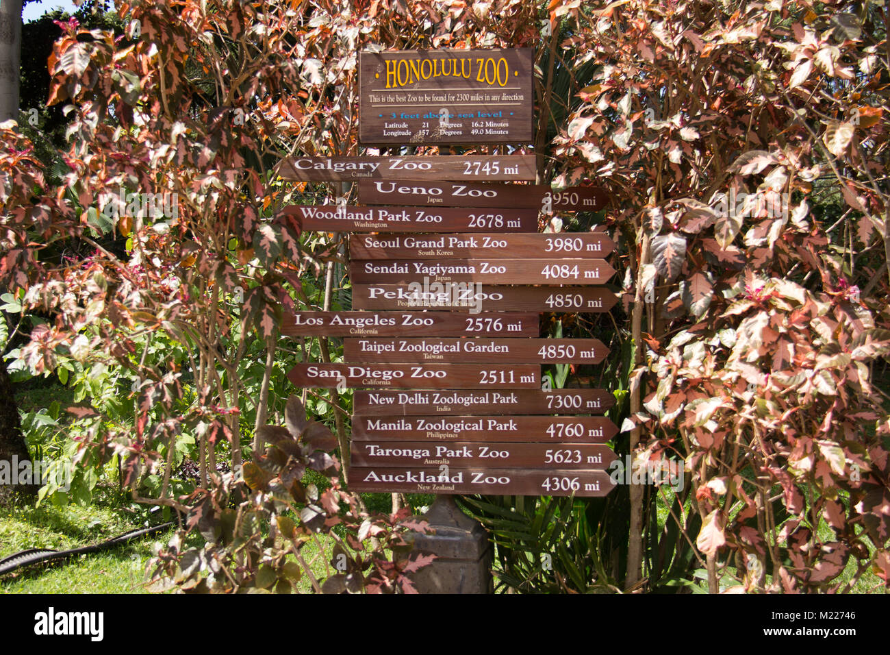 Holz- Hinweisschild an der Honolulu Zoo Stockfoto