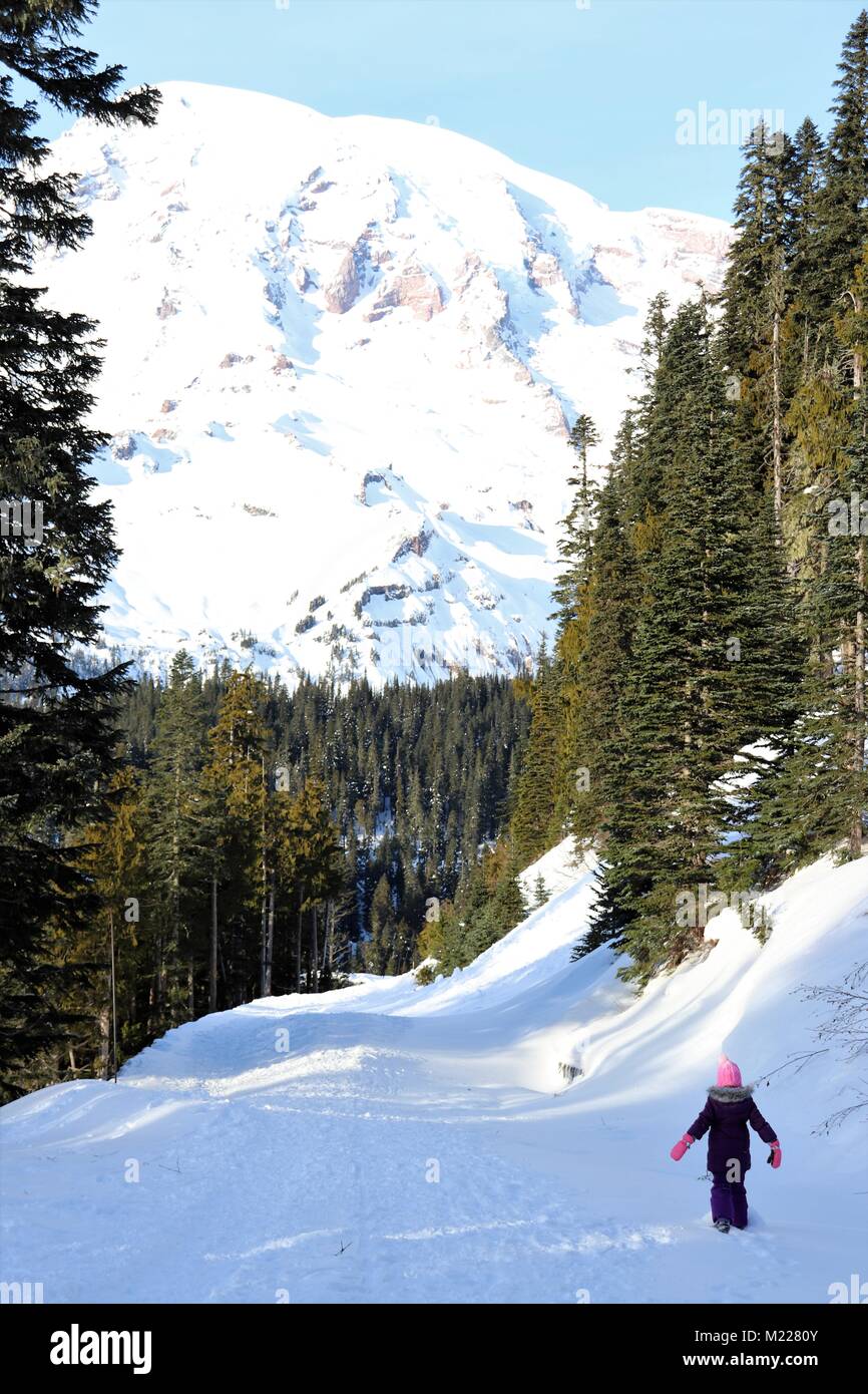 Eine Reise zum Mount Rainier Stockfoto