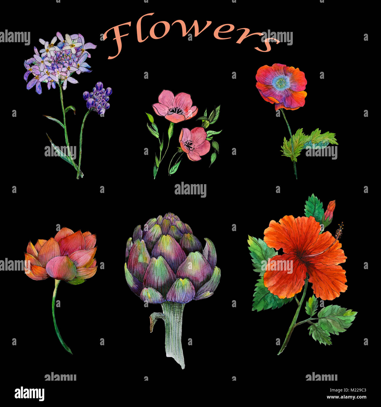 Ursprünglichen Aquarell Malerei von verschiedenen Blumen Stockfoto