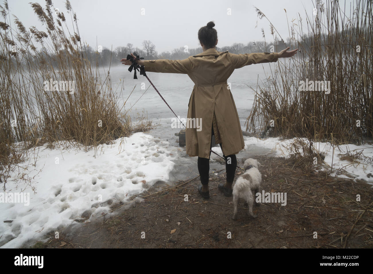 Frau mit ihrem Hund in den Prospect Park an einem nebligen Winter morgen, Brooklyn, NY. Stockfoto