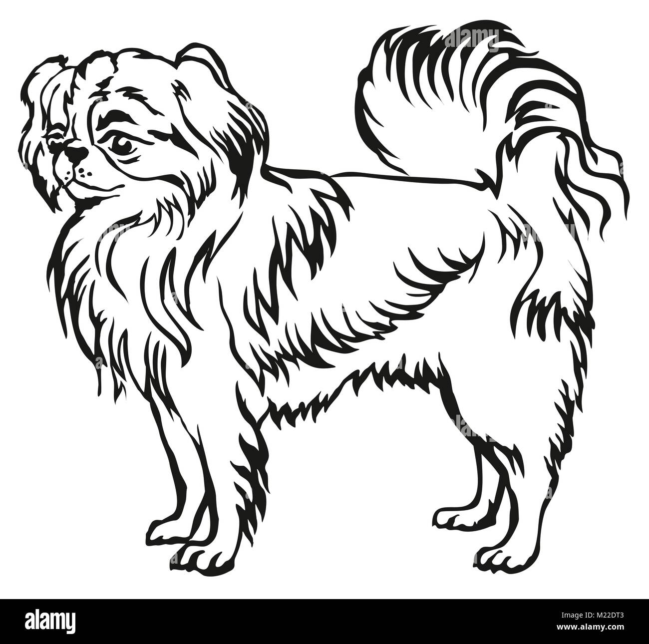 Dekorative Portrait von ständigen im Profil Japanese Chin, Vektor isoliert Abbildung in schwarz auf weißem Hintergrund Stock Vektor