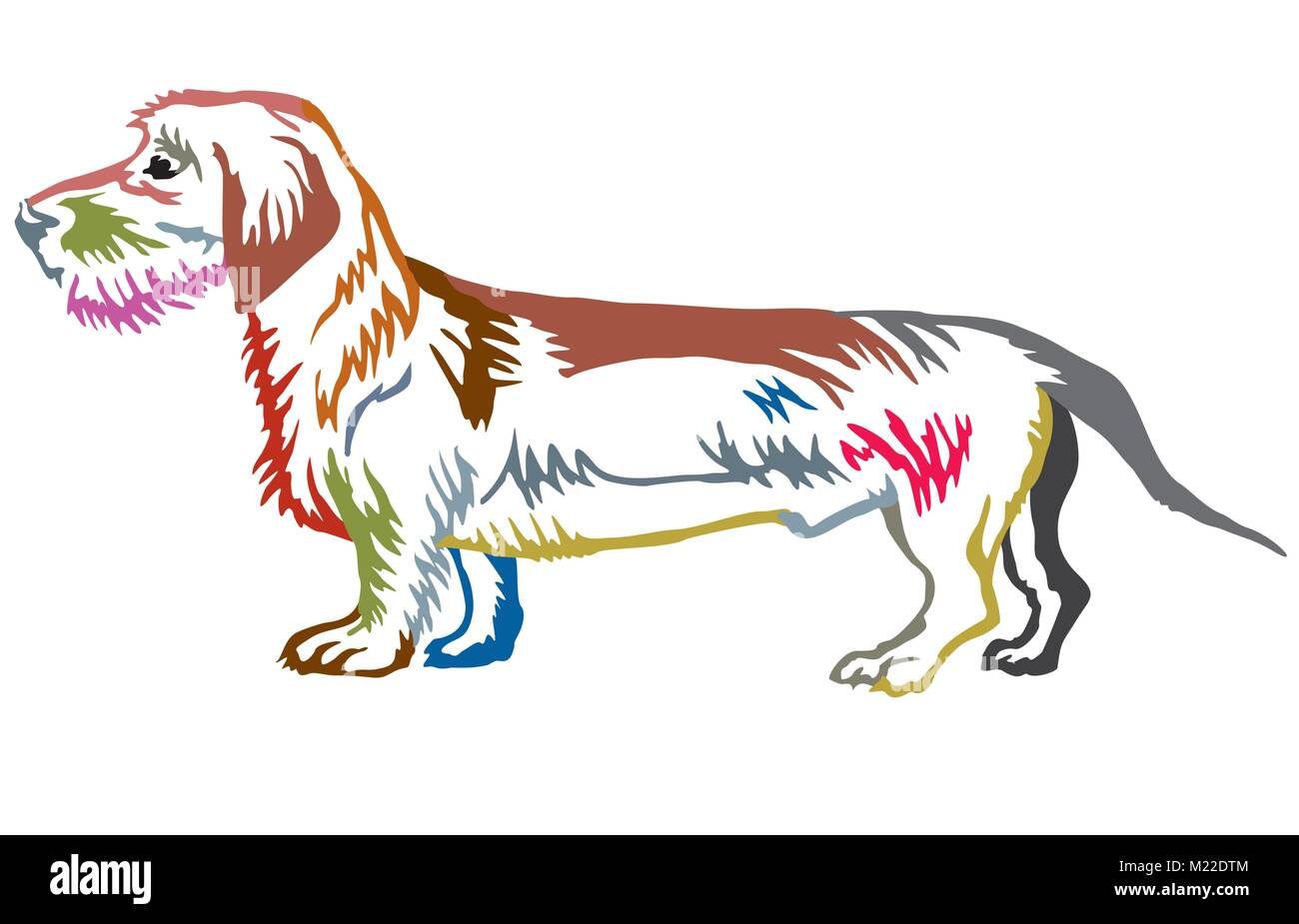 Bunte Kontur dekorative Portrait von ständigen im Profil hund Dackel (Wire-haired), Vektor isoliert Abbildung auf weißem Hintergrund Stock Vektor