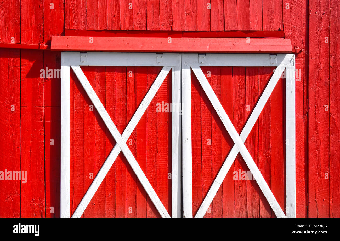 Sunlit Red Barn Türen schließen, die oben in den Wald. Die Scheune ist eine lebendige Rot. Stockfoto