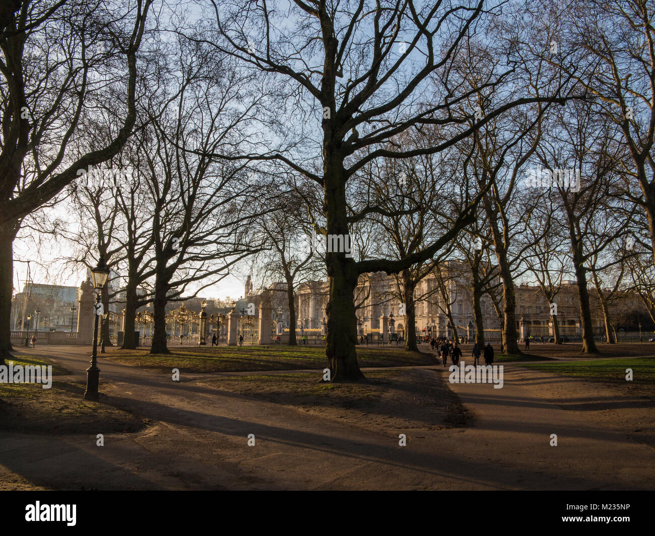 Spaziergang durch den Green Park in den frühen Morgen mit der Buckingham Palast im Hintergrund zu arbeiten Stockfoto