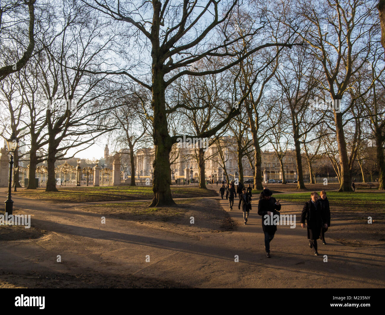 Spaziergang durch den Green Park in den frühen Morgen mit der Buckingham Palast im Hintergrund zu arbeiten Stockfoto