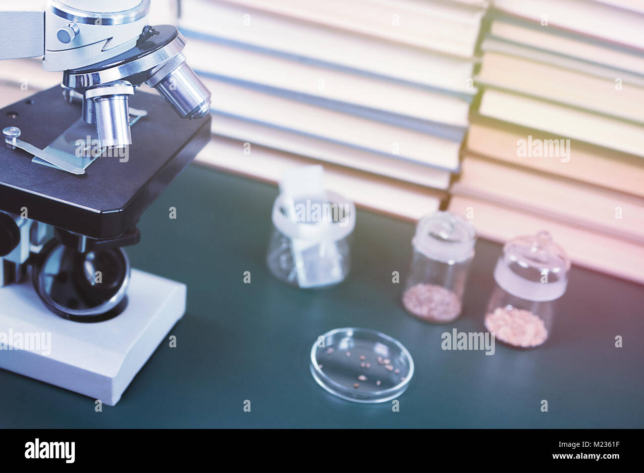 Mikroskop und Prüflinge der Samen vor dem Hintergrund der wissenschaftlichen Bücher Stockfoto