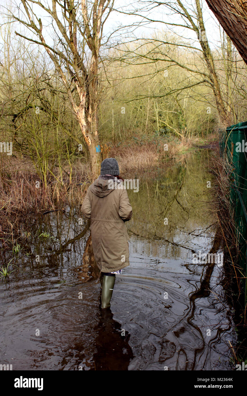 Frau gehen auf überschwemmten Pfad im Wald Stockfoto