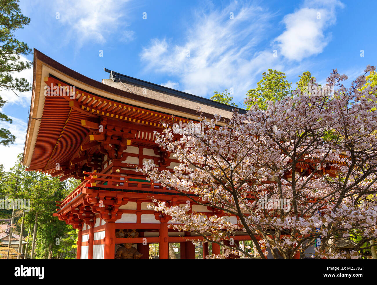 Japanische Tempel mit Blüten im Frühling Stockfoto