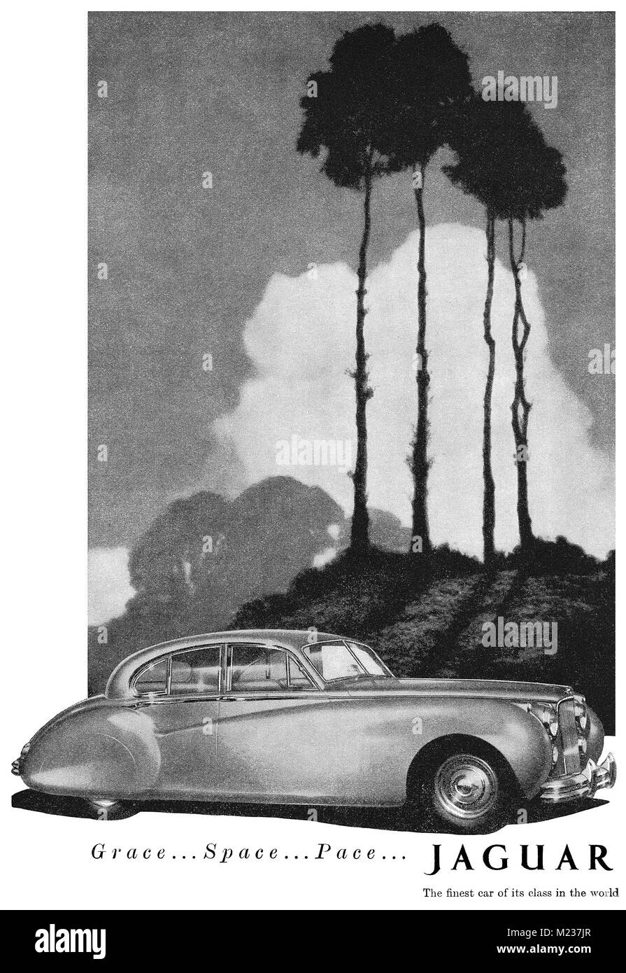 1953 britischen Werbung für Jaguar Cars. Stockfoto