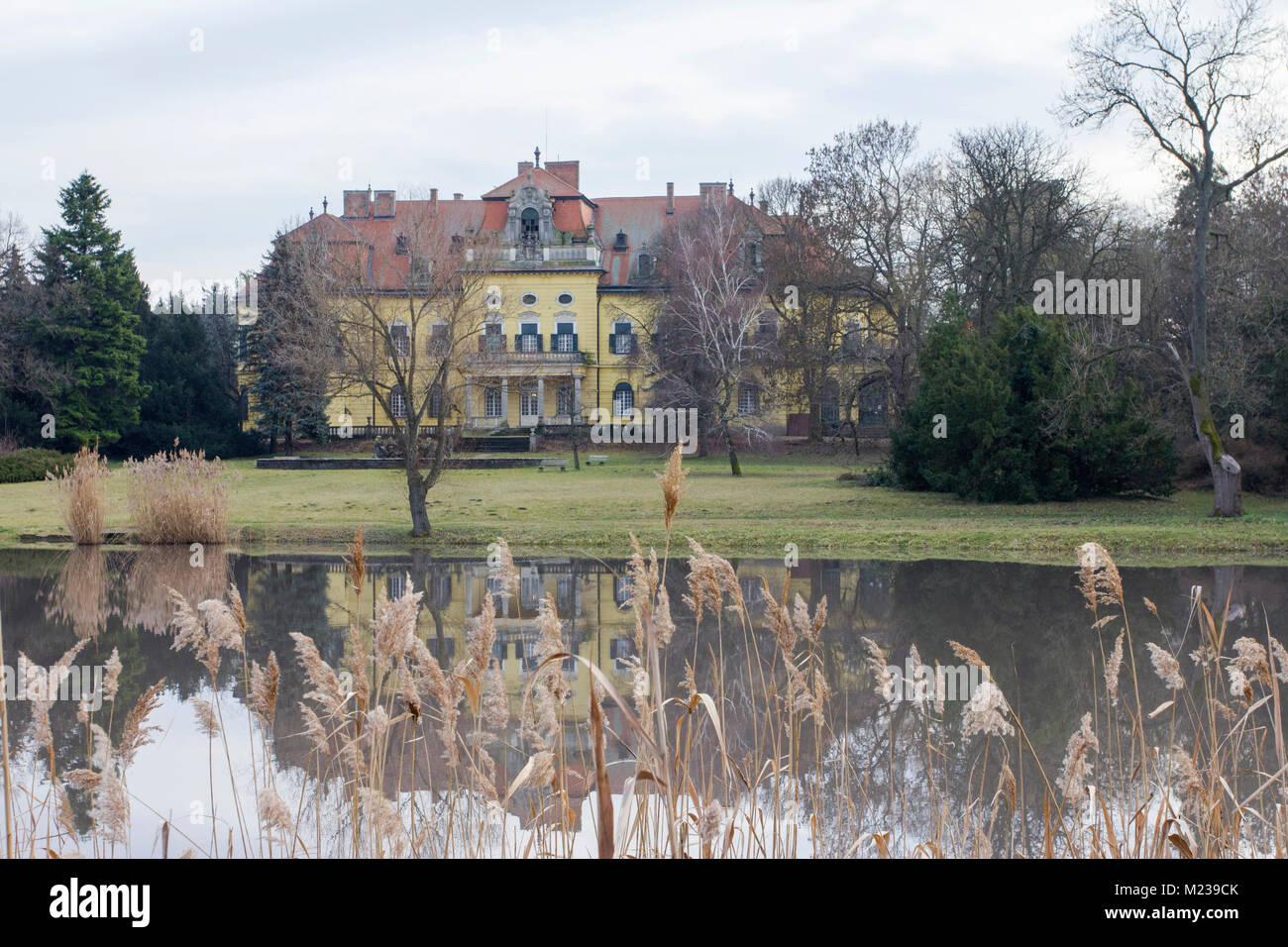 See an Karolyi Palace in Nagymagocs, Ungarn. Stockfoto