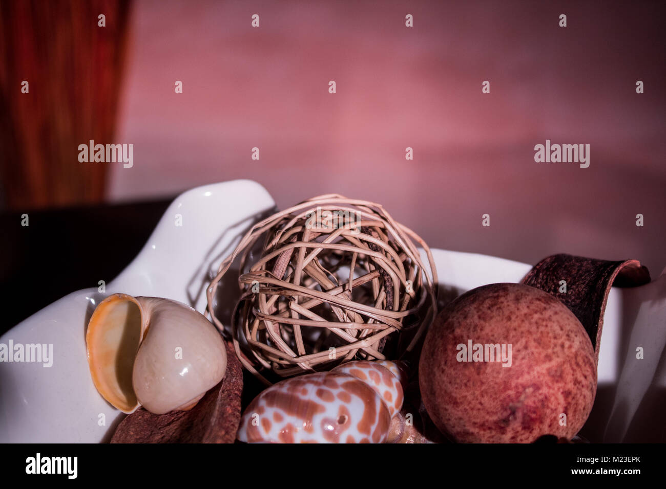 Nahaufnahme von Muscheln Stockfoto