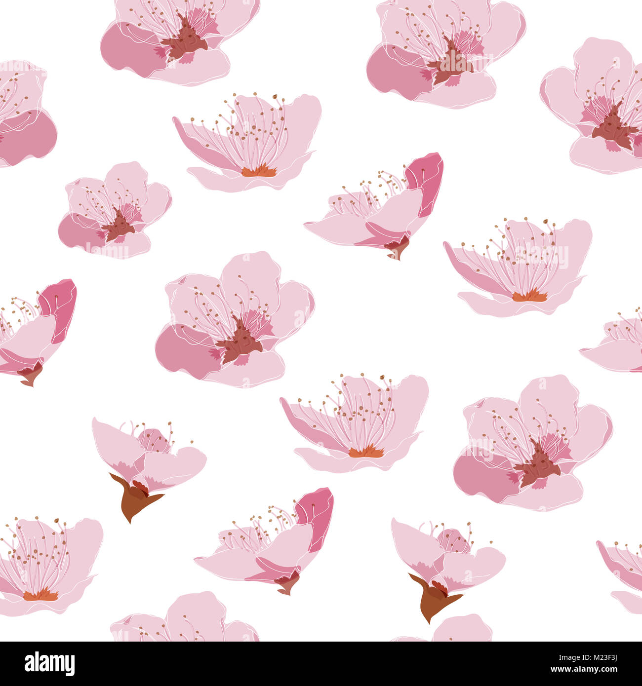 Cherry Blossom Muster Vektor. Pink floral background für Grußkarten, Poster, Vorlage, Deckblatt Design, Hintergrund, Geschenkpapier. Stockfoto