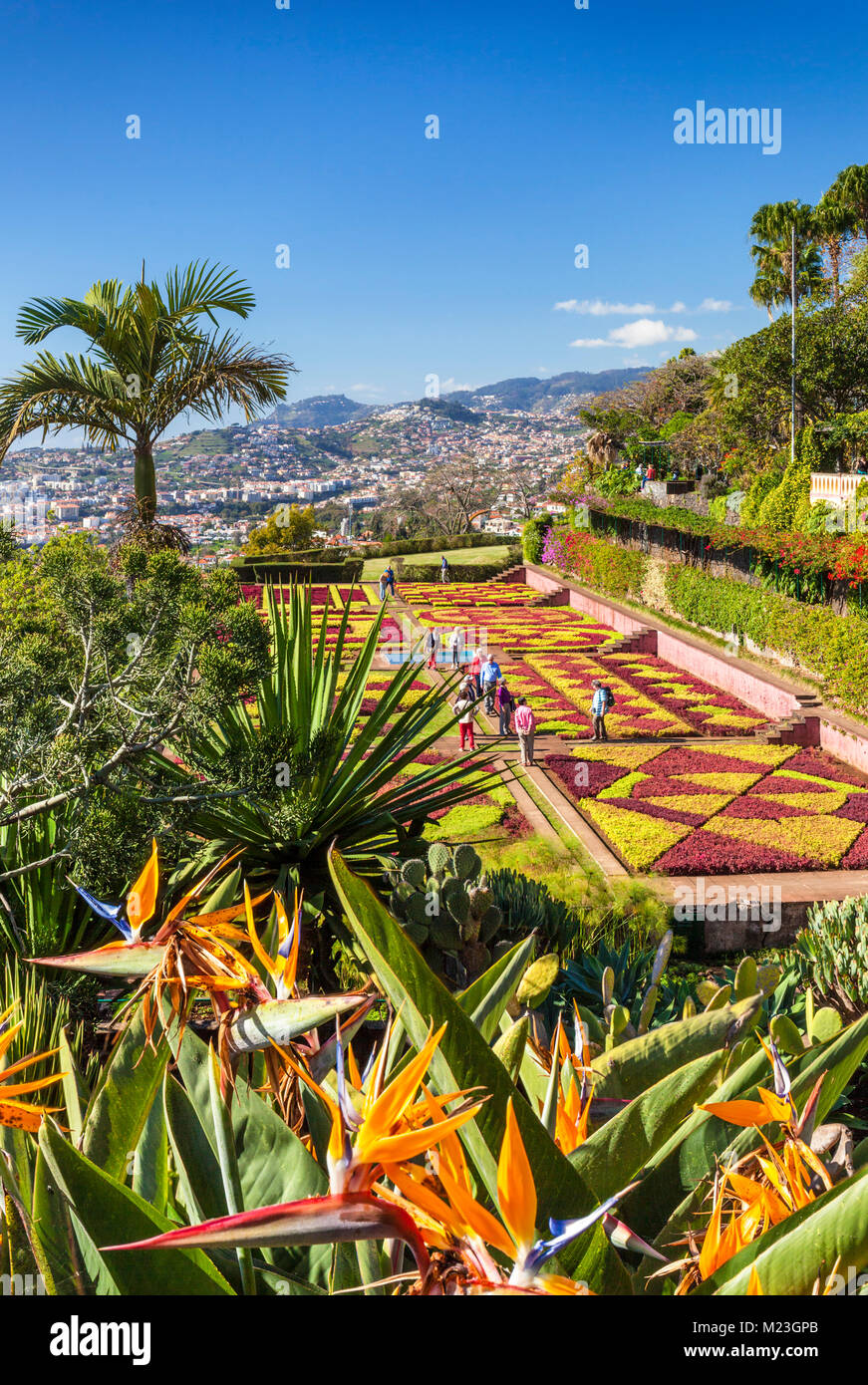 MADEIRA Portugal Madeira Funchal Botanischer Garten der Botanische