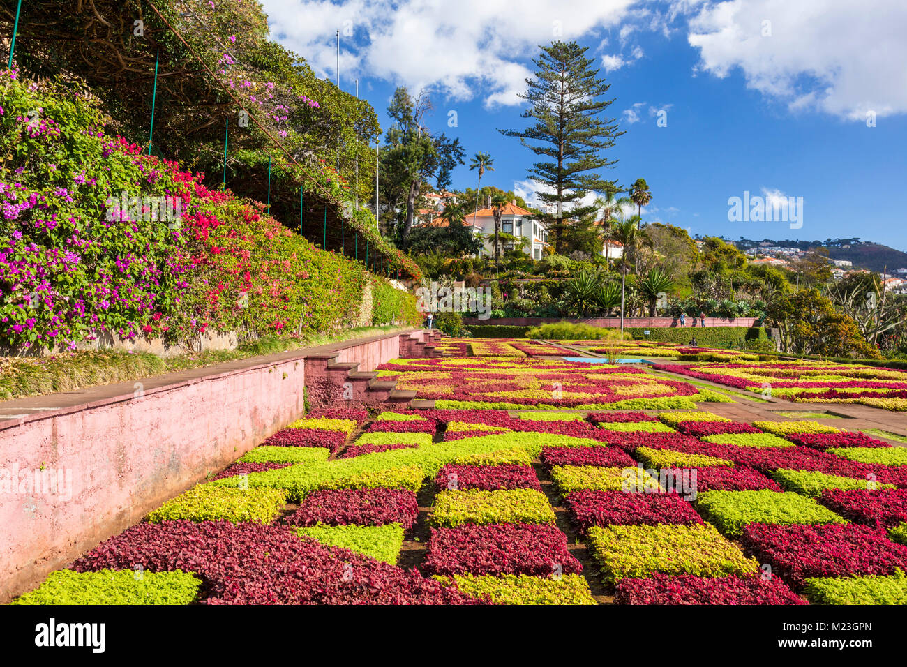 MADEIRA Portugal Madeira Funchal Botanischer Garten der Botanische