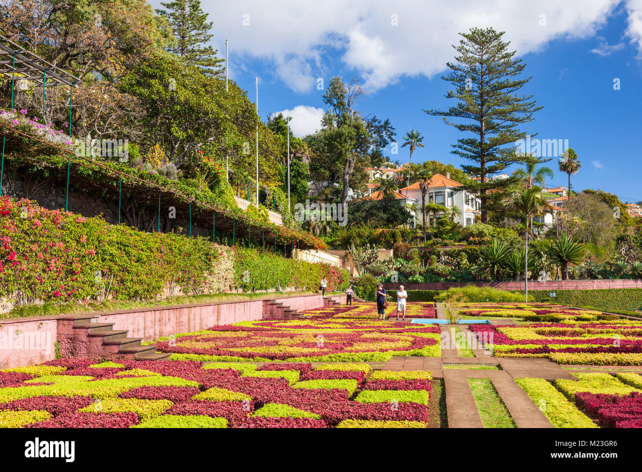 MADEIRA Portugal Madeira Funchal Botanischer Garten der Botanische