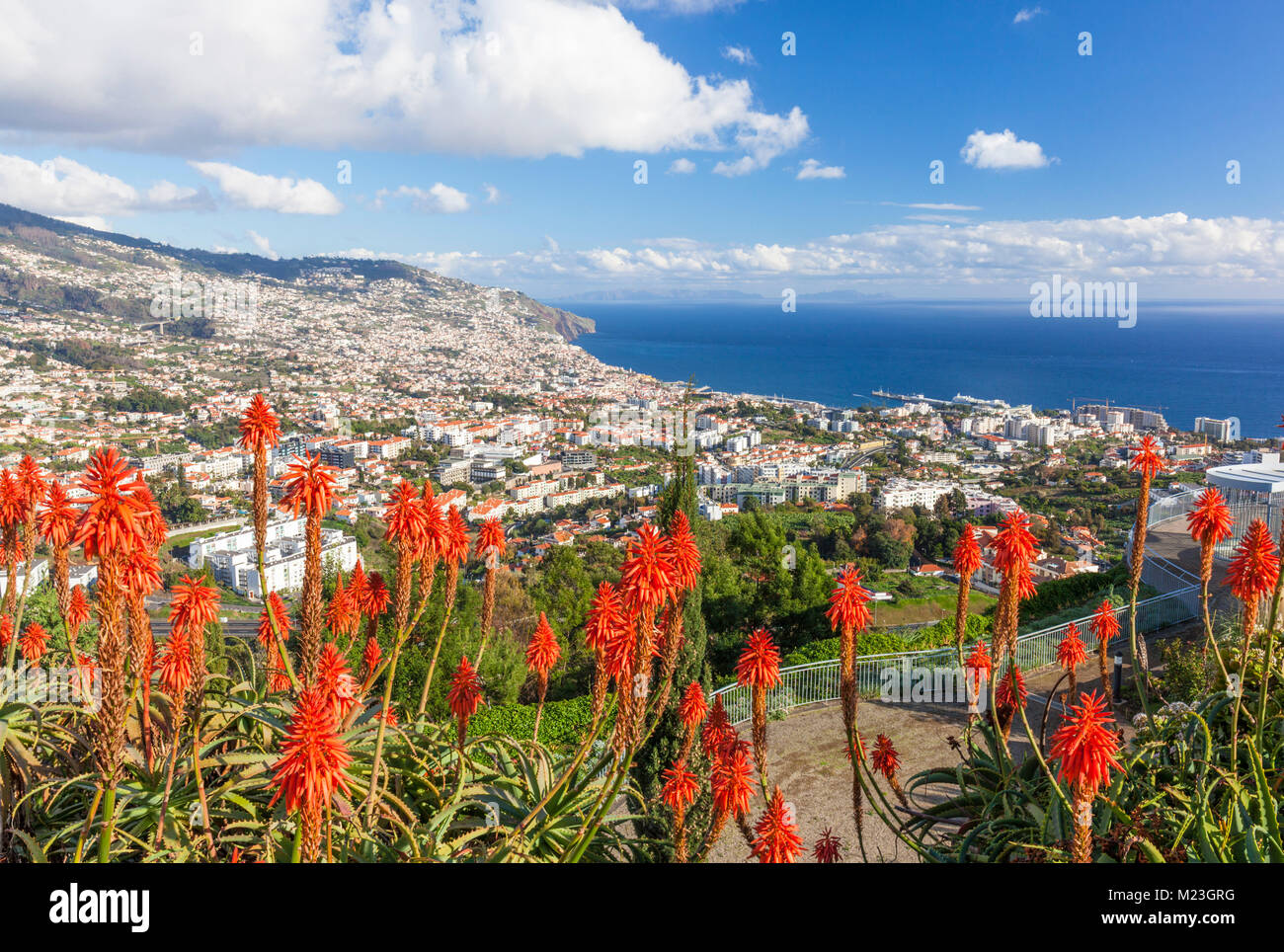 Madeira Portugal Madeira Blick auf Funchal, der Hauptstadt von Madeira über die Bucht und Hafen Altstadt Funchal Madeira Portugal Europa suchen Stockfoto