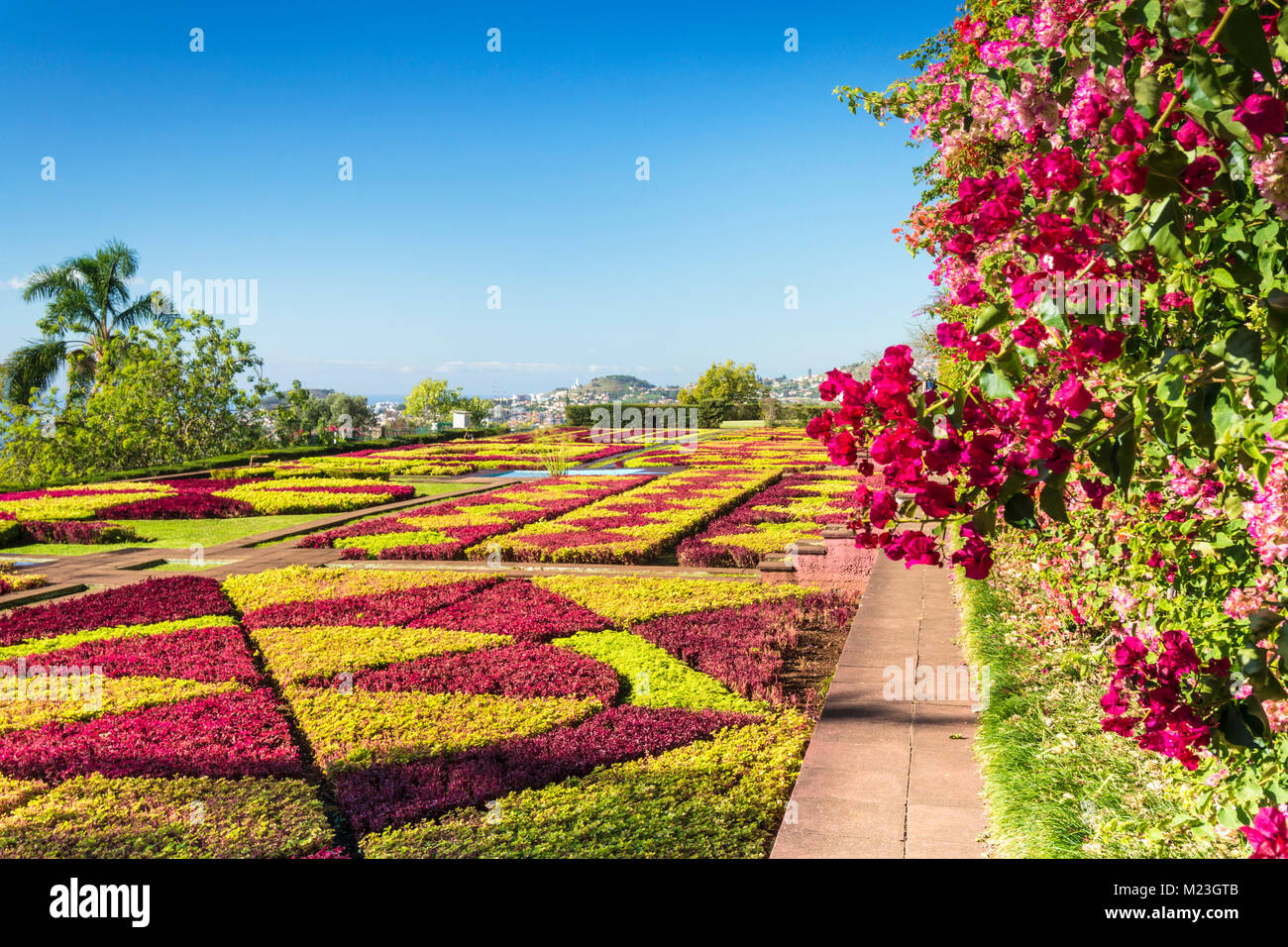 MADEIRA Portugal Madeira Funchal Botanischer Garten der Botanische