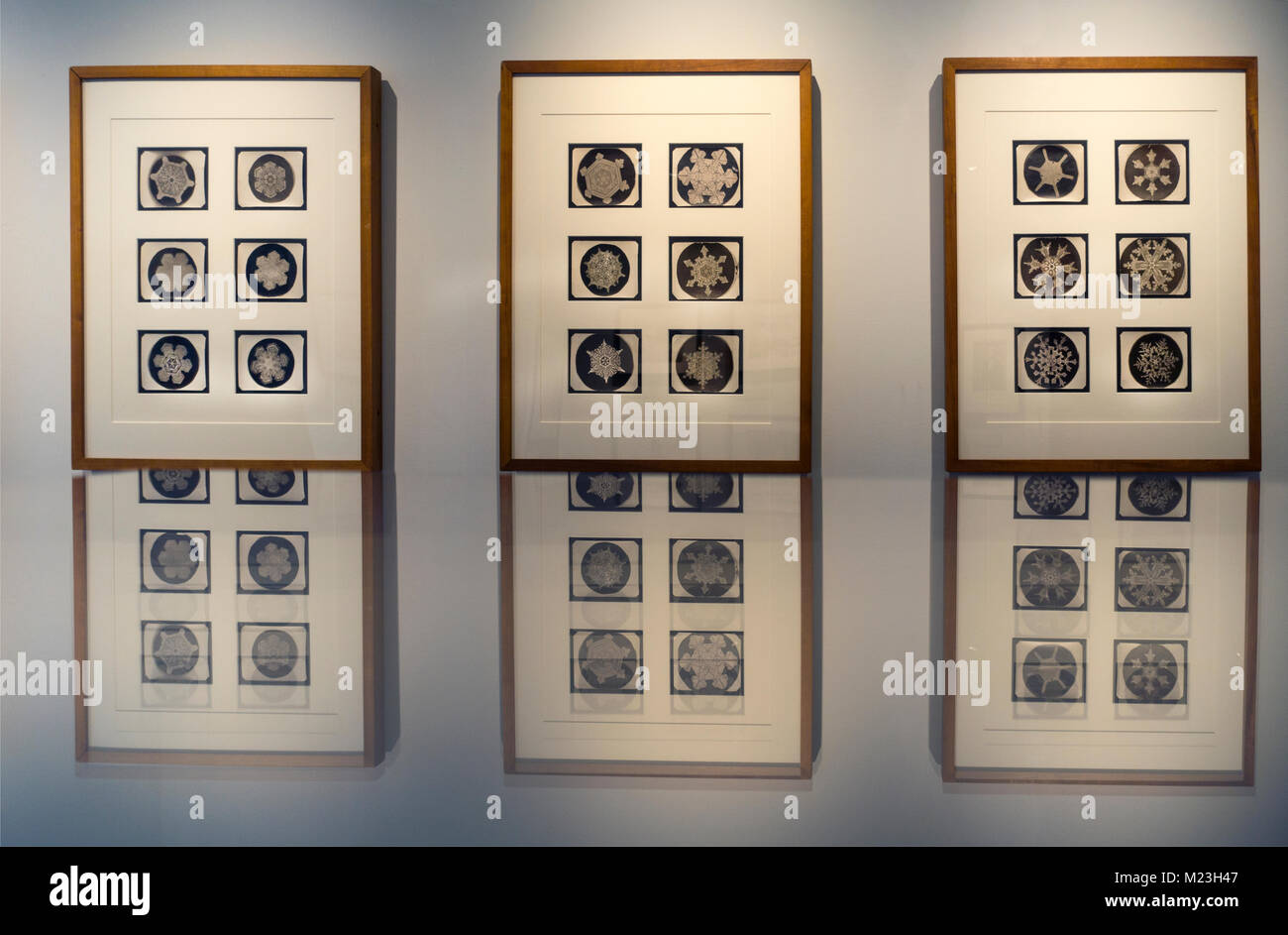 Snowflake Bentley Ausstellung am Jericho historische Gesellschaft VT Stockfoto