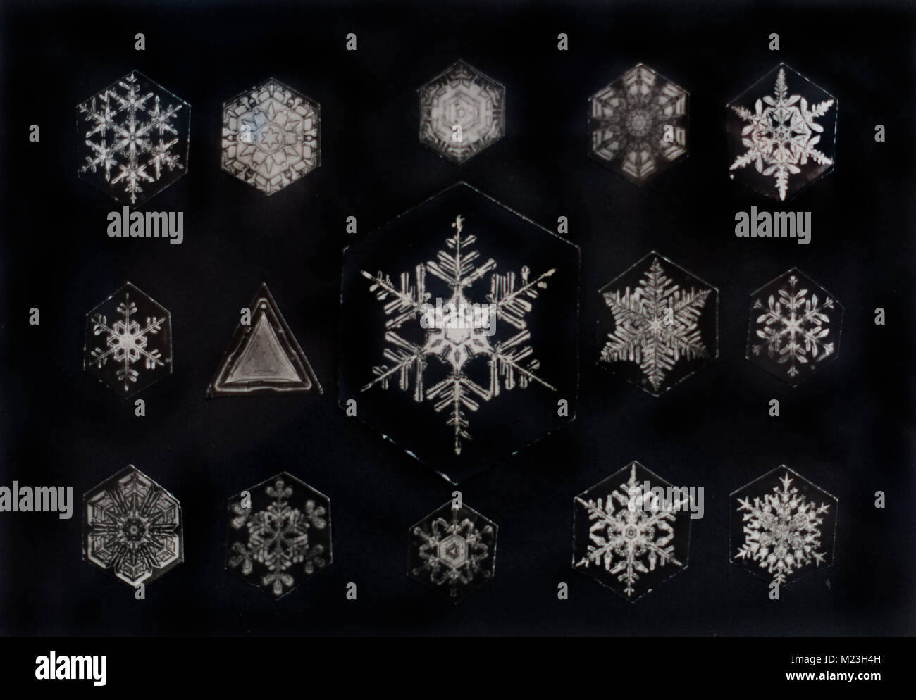 Snowflake Bentley Ausstellung am Jericho historische Gesellschaft VT Stockfoto