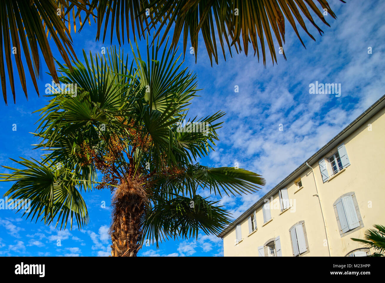 Sonnigen Tag in Tarbes, street view, Sommer. Verdauungstörungen und optimistisch. Frankreich. Stockfoto
