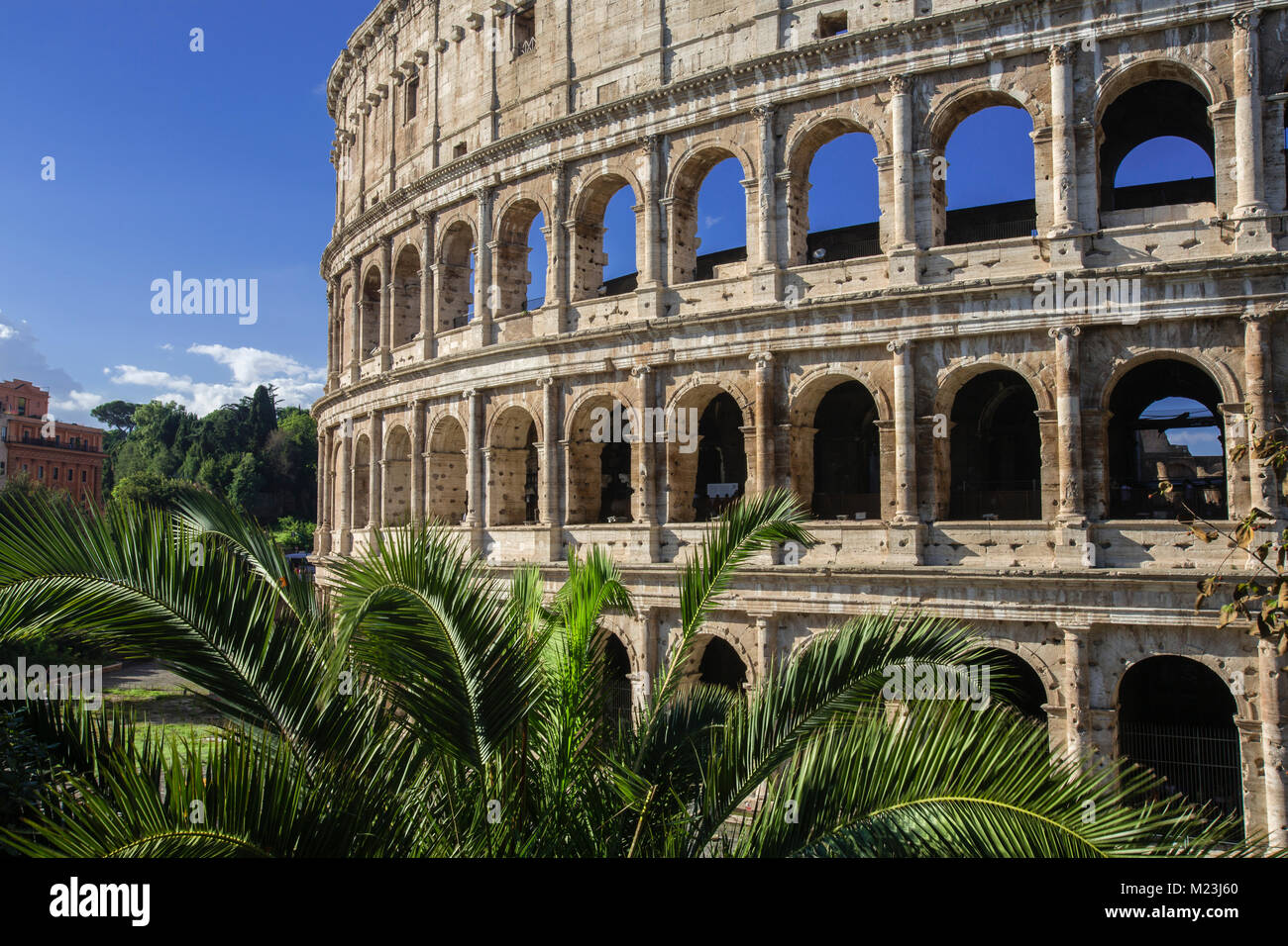 Kolosseum im Morgenlicht, Rom, Italien Stockfoto