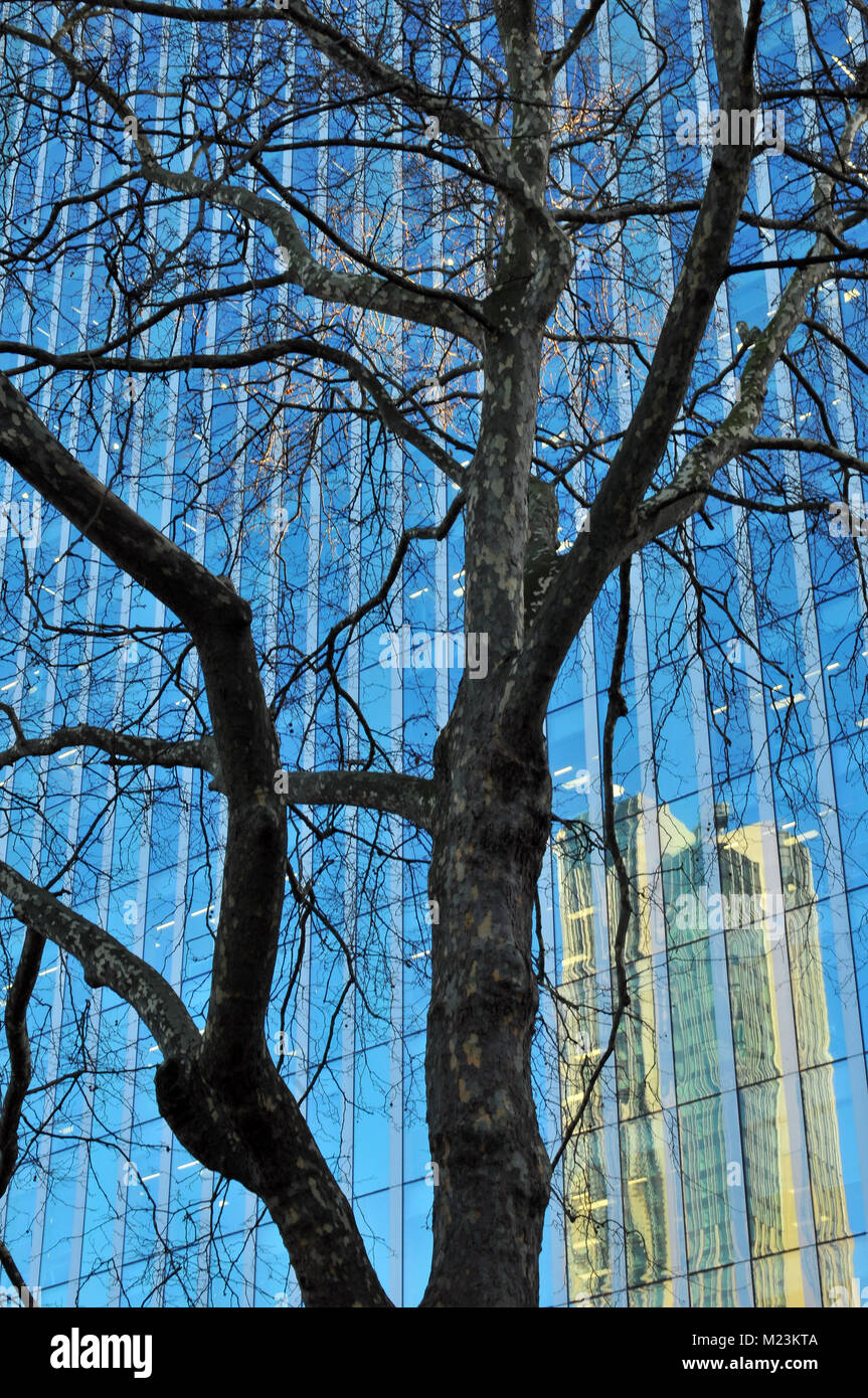 Abstrakte Architektur Und Reflexionen Von Einem Baum In Einem Modernen Zeitgenossischen Glas Office Block Struktur Stockfotografie Alamy