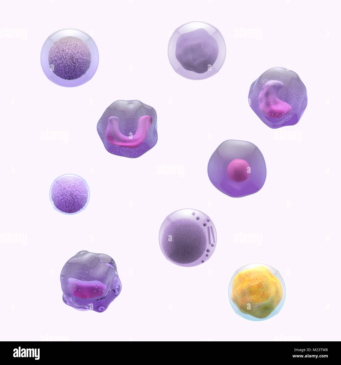 Molekül ärztliche Abbildung Stockfoto Molekül ärztliche Abbildung Stockfoto