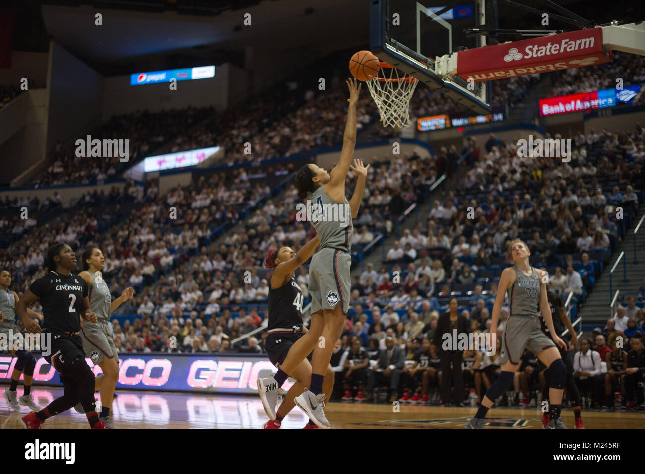 Hartford, CT, USA. 4 Feb, 2017. Napheesa Collier (24) Der Uconn Huskies Drives zum Korb während eines Spiels gegen Cincinnati Bearcats am XL Center in Hartford, CT. Gregory Vasil/CSM/Alamy leben Nachrichten Stockfoto