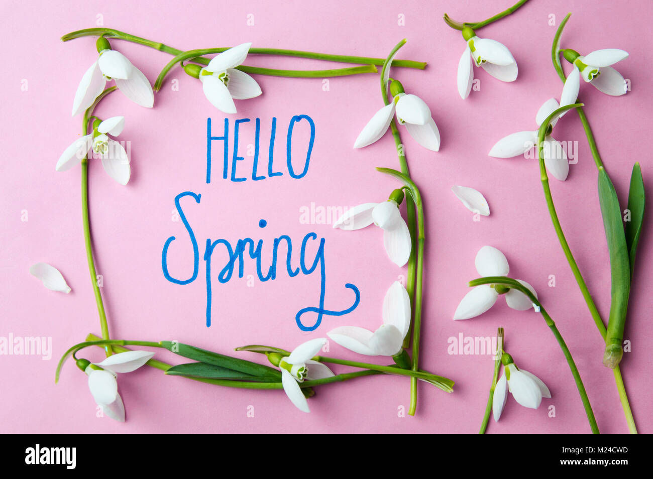 Hallo Frühling handschriftliche Notiz mit Stiefmütterchen Blumen Stockfoto