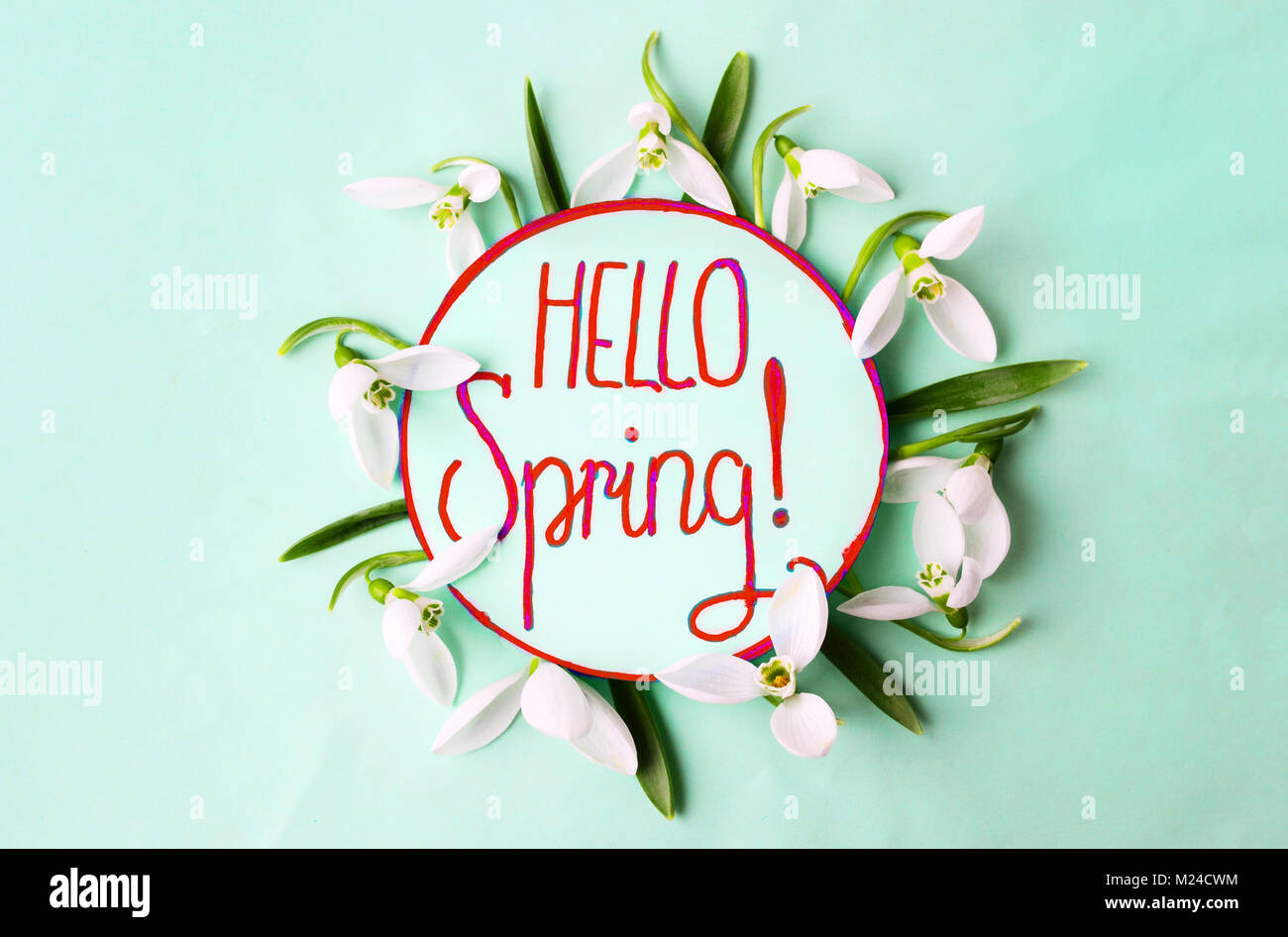 Hallo Frühling handschriftliche Notiz umgeben von frischen Schneeglöckchen Stockfoto