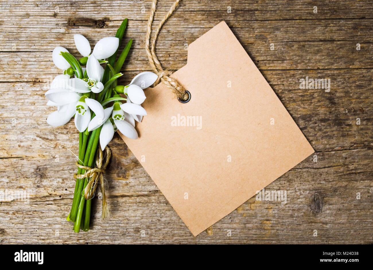 Snowdrop Blumen und eine leere Hinweis Karte auf Holz- Hintergrund Stockfoto