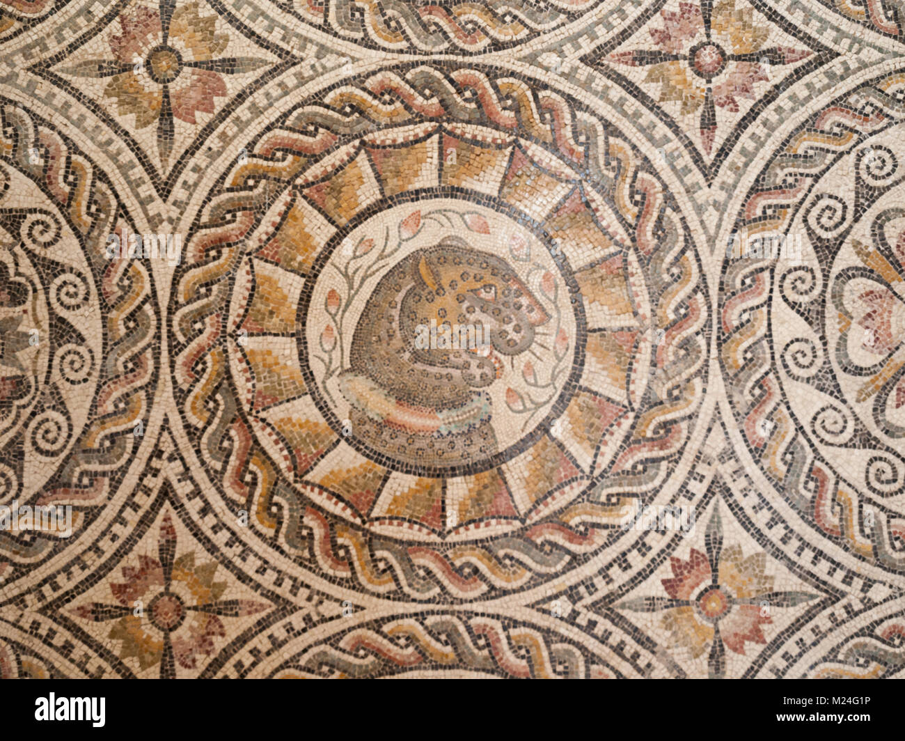 Römisches Mosaik in Sabratha-museum Stockfoto