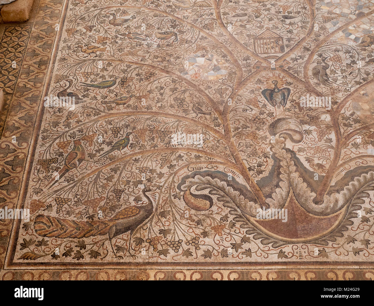 Justinian Basilika Mosaik in Sabratha Stockfoto