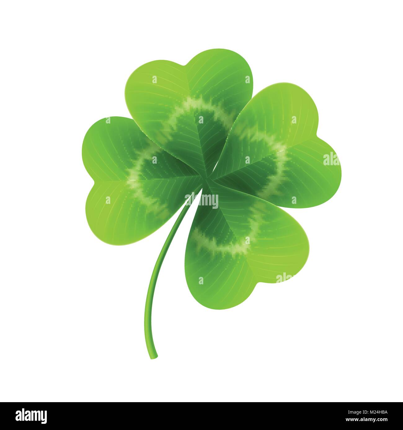 Four Leaf Clover auf Weiß isoliert. Vector Illustration Stock Vektor