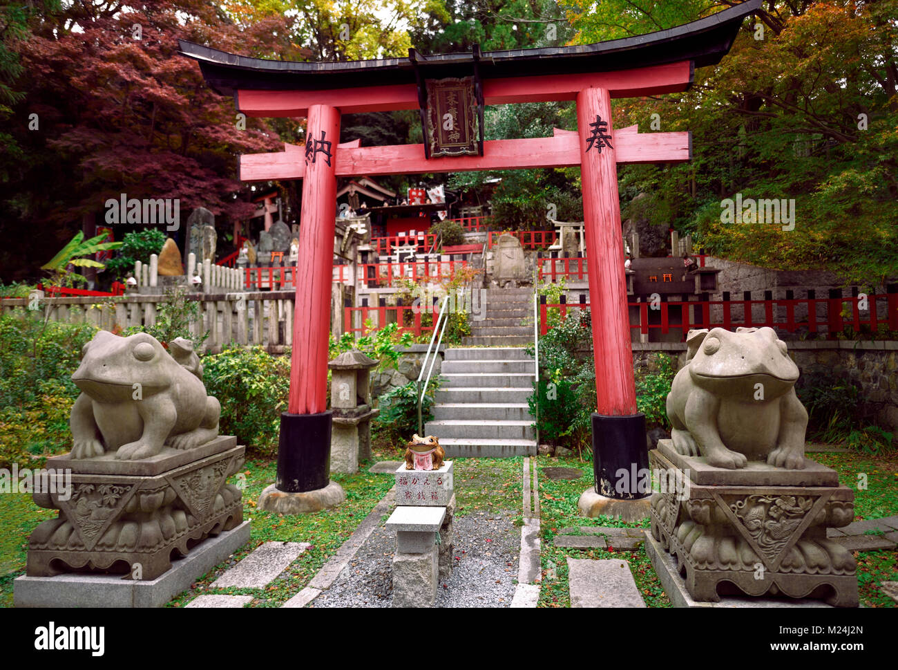 Suehiro ogami Schrein mit Fuku Kaeru, Fortune Frosch Schrein am Ausgang des Fushimi Inari Taisha Kopf Schrein. Kaeru bedeutet sowohl einen Frosch und kommen zurück oder Re Stockfoto