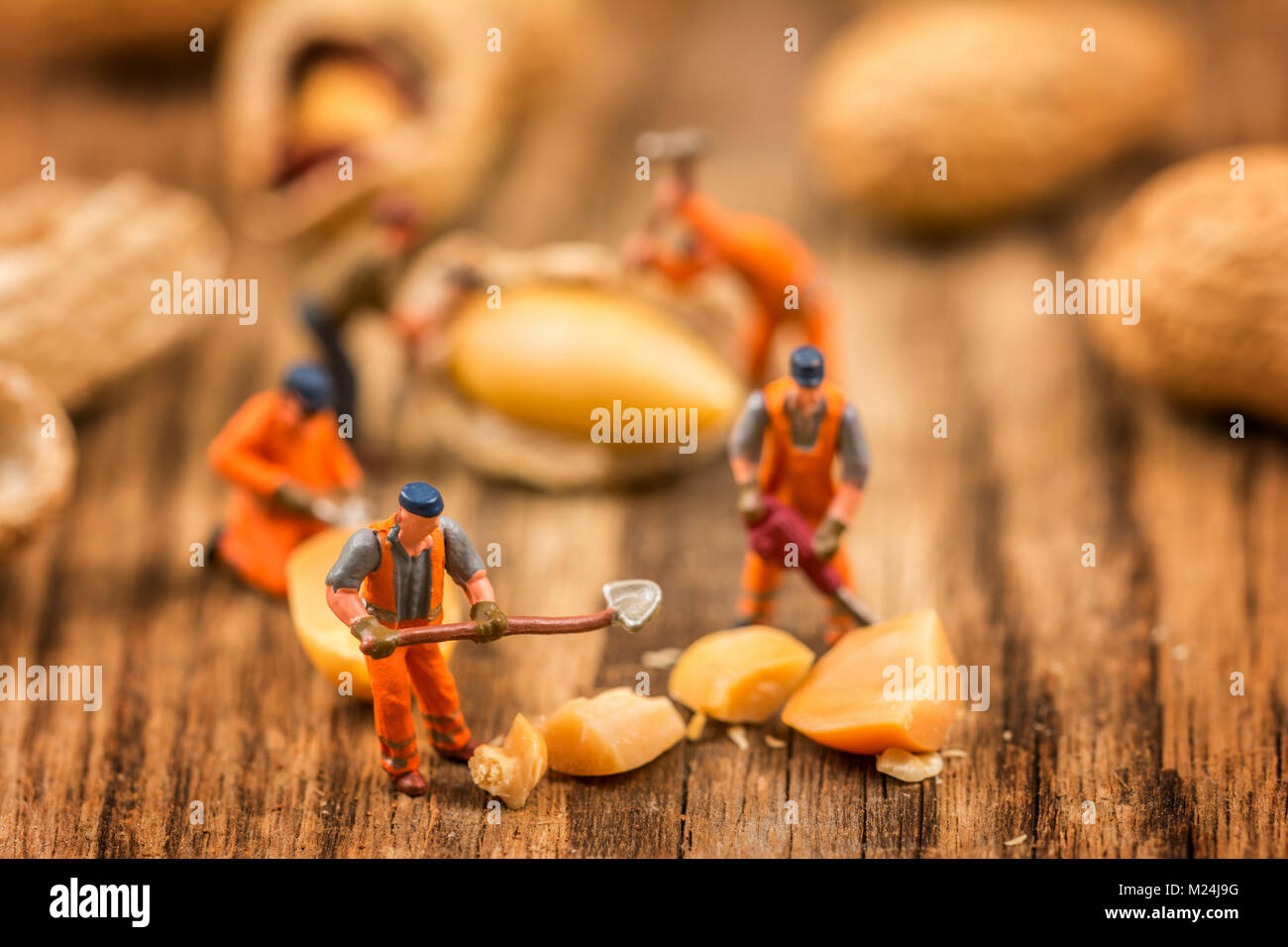 Miniatur Figuren arbeiten an Erdnüsse Makro Fotografie auf Holz Tisch Stockfoto