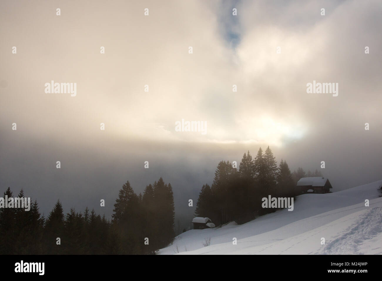 Schnee und den dunklen Wald, in den Bergen Stockfoto