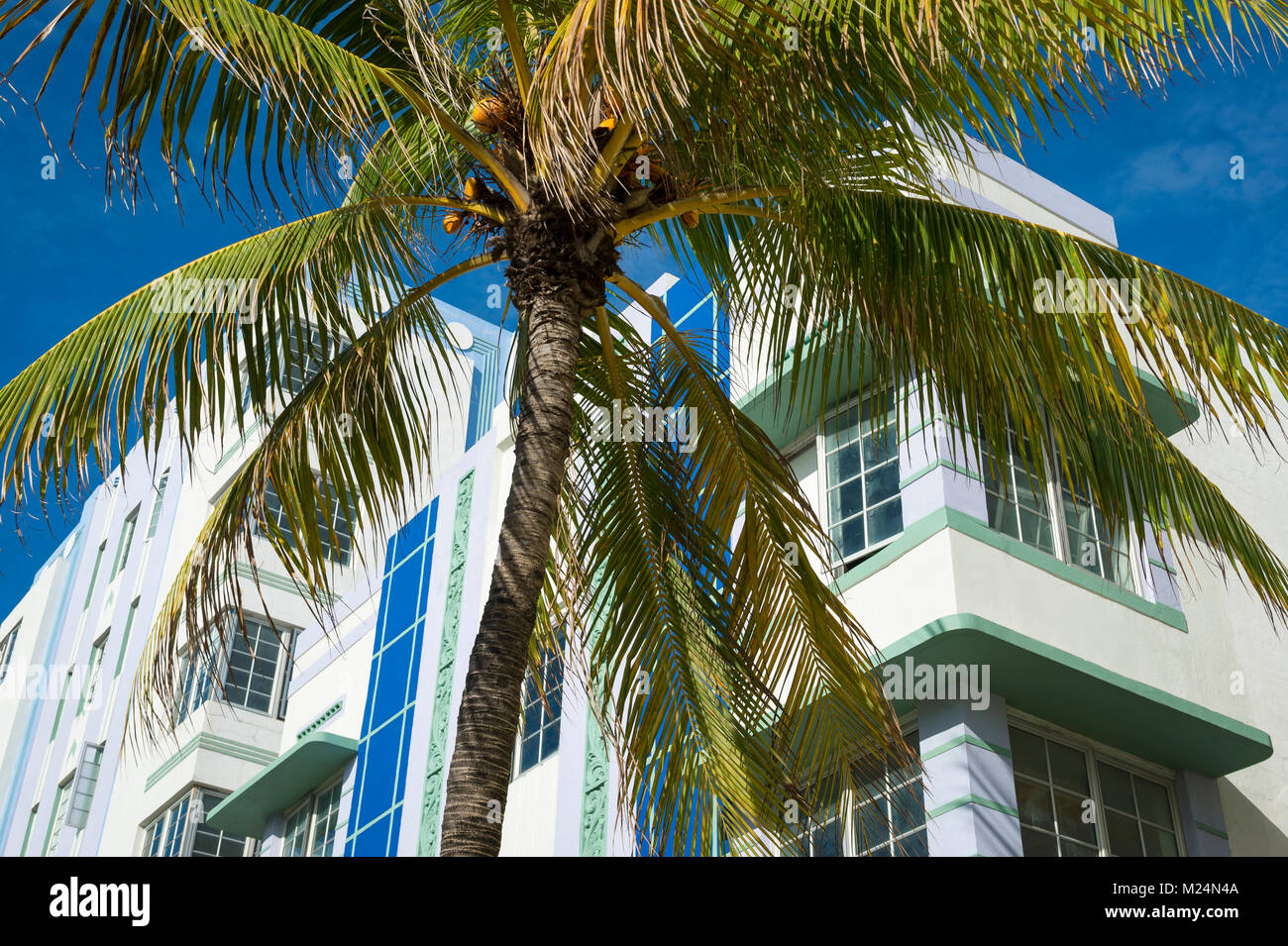Close-up Detail der typischen bunten 30er Jahre Art Deco Architektur mit Palme in Miami, Florida Stockfoto