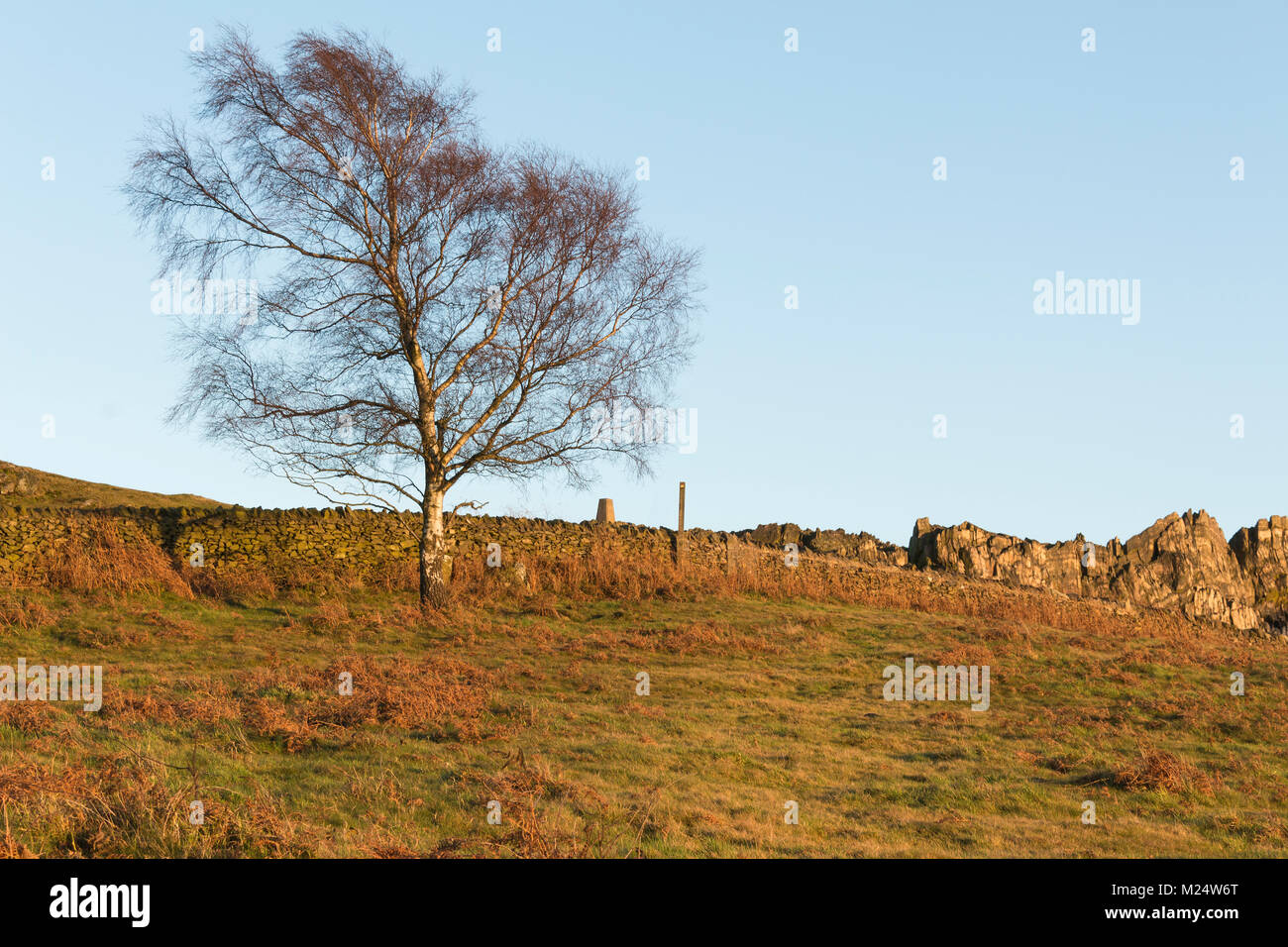 Ein Bild geschossen in der Goldenen Stunde am Beacon Hill, Leicestershire, England, Großbritannien Stockfoto