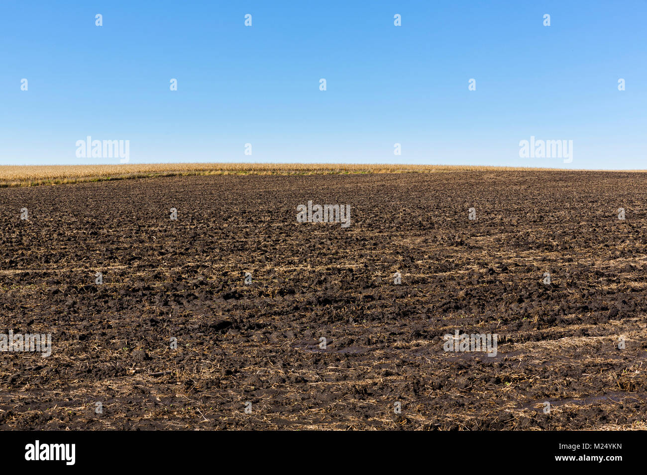 Ein vor kurzem gepflügten Feldes der Erde Stockfoto