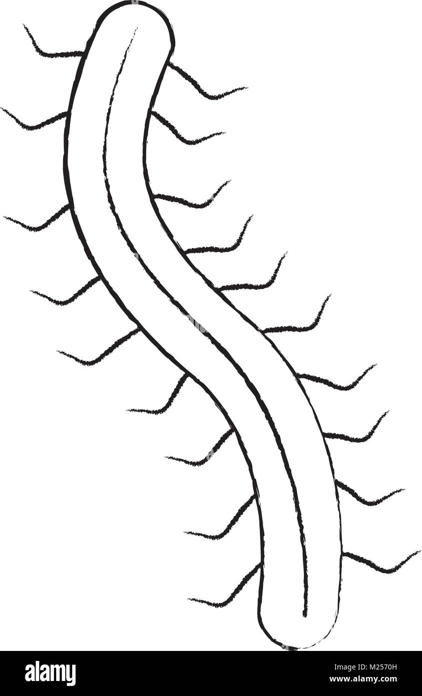 Hacker Virus Worm digitale Informationen Stock Vektor