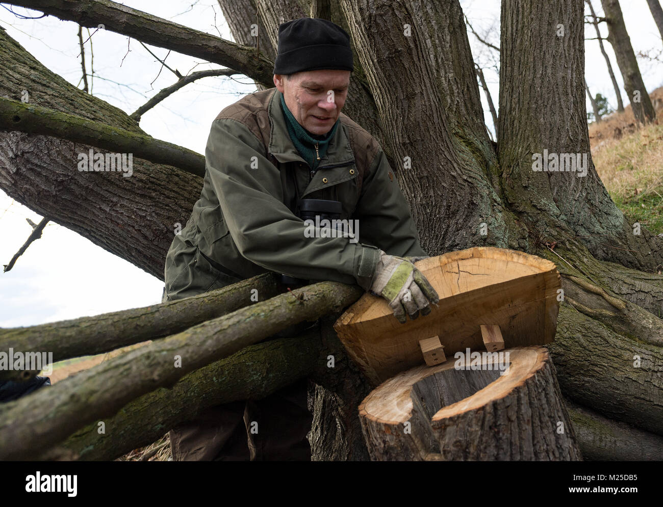 Ranger Herbert Schnabel prüft die Einrichtung einer neuen nesting Loch für Wiedehopf in Guttau, Deutschland, 5. Februar 2018. In einer Bemühung, die Vogelarten zu schützen, Naturschützer sind Einrichten von Holz- Verschachtelung Höhlen rund um das UNESCO-Biosphärenreservat. Foto: Monika Skolimowska/dpa-Zentralbild/dpa Stockfoto