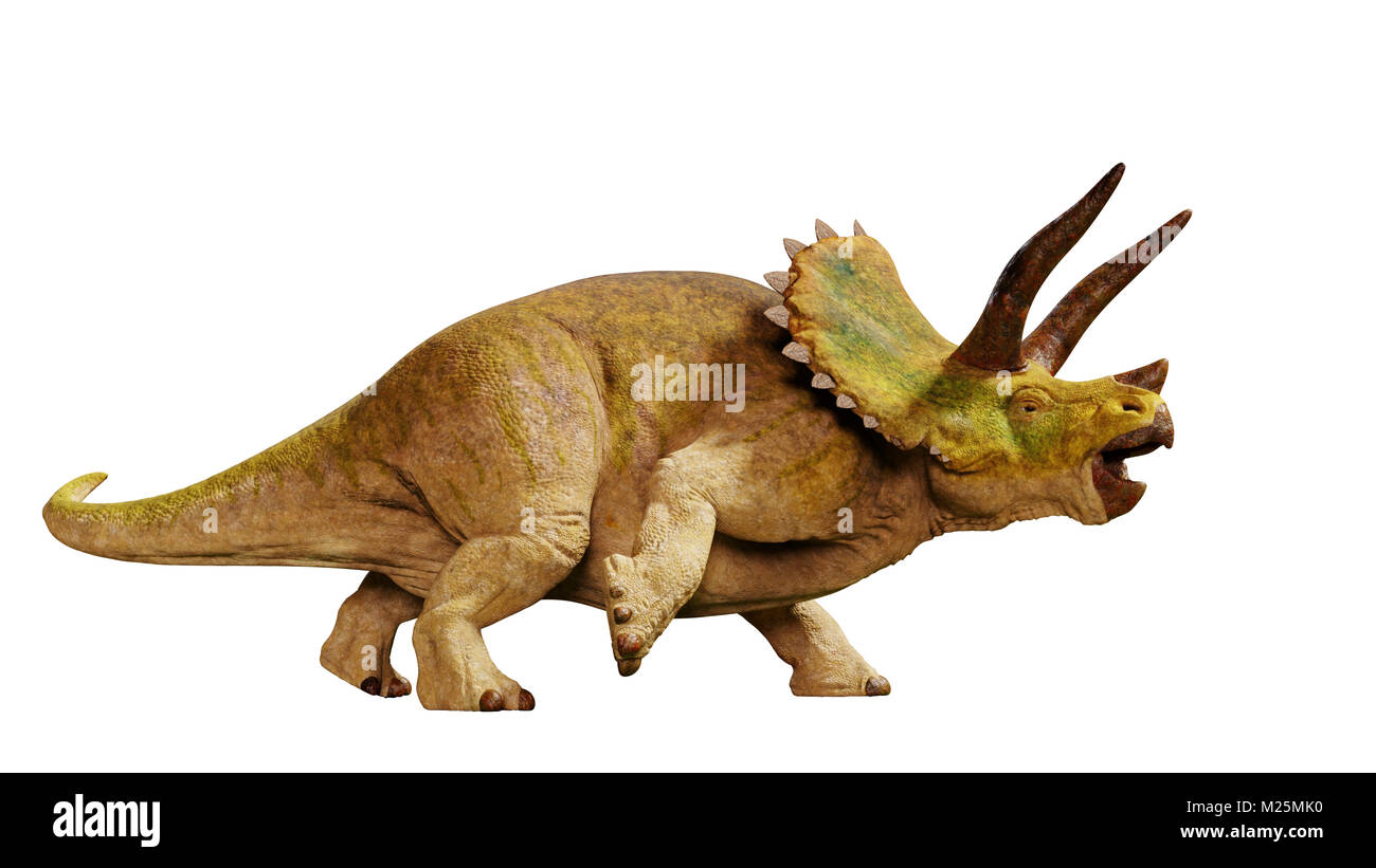 Dinosaurier TRICERATOPS horridus (3D-Render auf weißem Hintergrund) Stockfoto