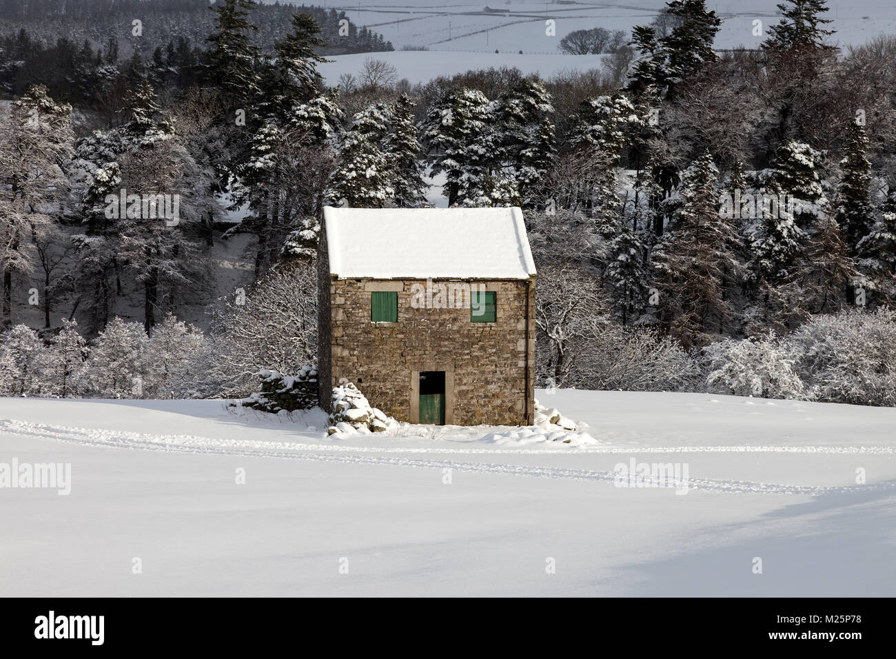 Traditionelle Scheune in Schnee, Holwick, Teesdale, County Durham, UK Stockfoto