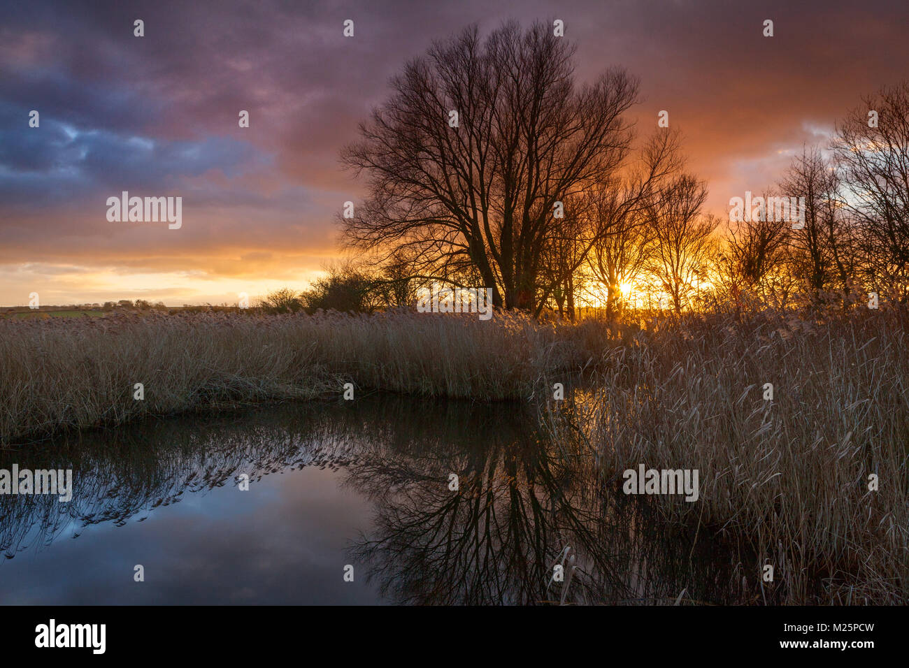 Sonnenuntergang am weit Ings National Nature Reserve, Barton-upon-Humber, North Lincolnshire, Großbritannien. Winter, 8. Februar 2018. Stockfoto