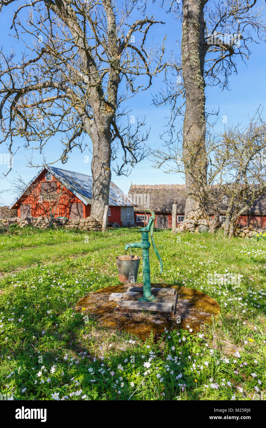 Alte Wasserpumpe In Einem Garten In Einem Landlichen Bauernhof