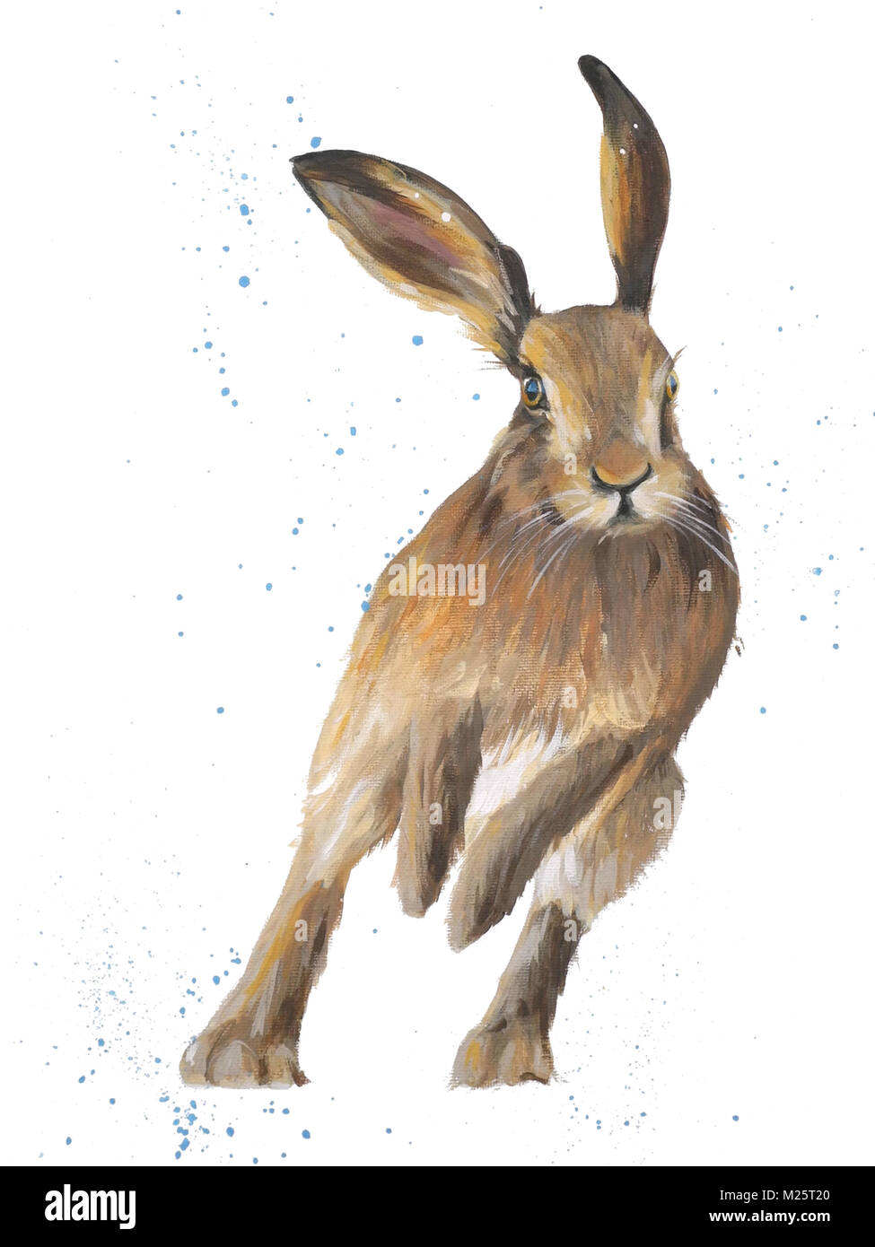 Malerei von Hare Gesicht auf Stockfoto