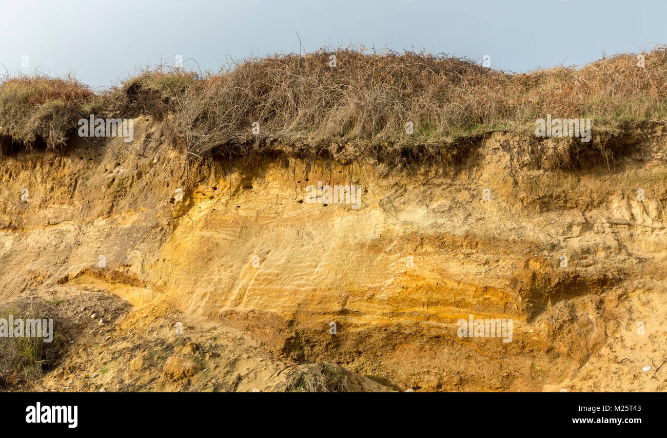 Fernsicht auf einem niedrigen Felswand mit Sand Martin nest Bohrungen, Thorpness, Suffolk, England Stockfoto