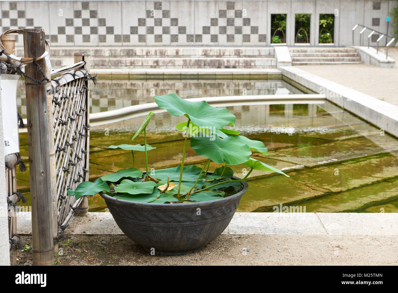 Shirotori - traditioneller Japanischer Garten in Nagoya. Stockfoto