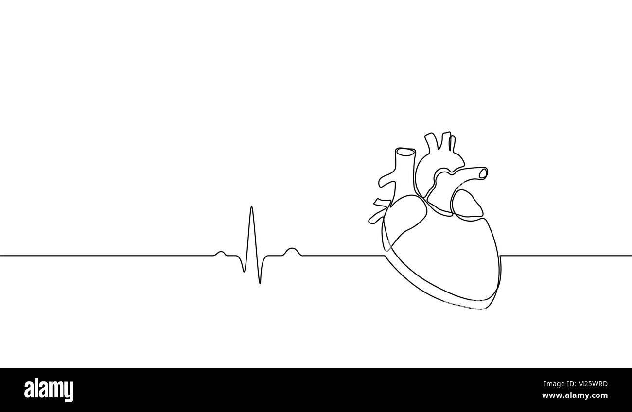 Eine durchgehende Linie kunst anatomischen menschlichen Herzen Silhouette. Gesunde Medizin Konzept Design eine Skizze Maßbild Vector Illustration Stock Vektor